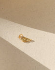 Angel Wing Charm