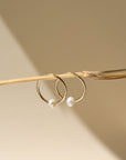 14k gold fill 14mm hoops with a freshwater  pearl dangling from the bottom of each hoop, the earrings are displayed on a post in the sunlight