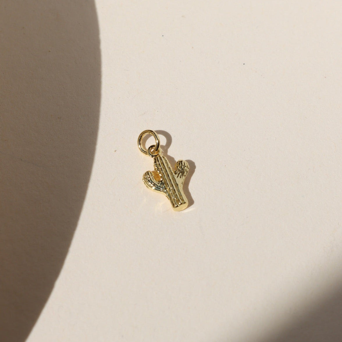 Cactus Charm