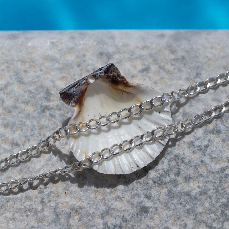 925 sterling silver Alex chain laid on a sea shell in the sunlight. 