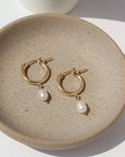 14k gold fill classic pearl hoops laid on a tan plate in the sunlight.