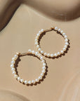 14k gold fill Pearl halo hoops laid against a tan plate in the sunlight.