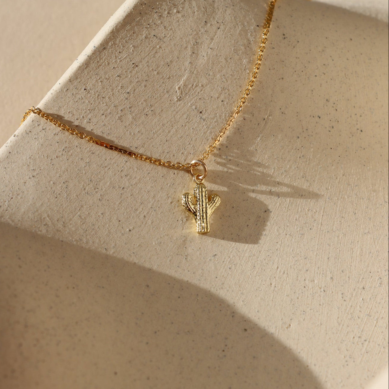 Cactus Charm